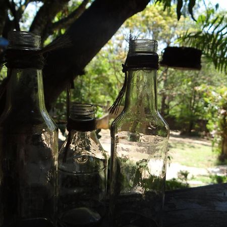 Bed and Breakfast Chale Rancho Aratama Жакареи Экстерьер фото