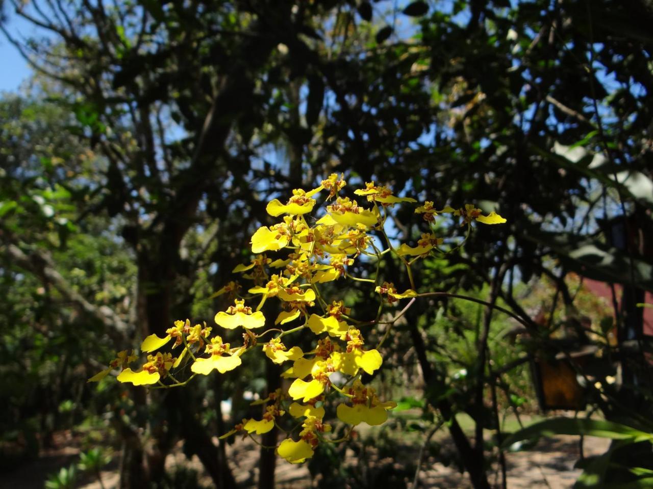 Bed and Breakfast Chale Rancho Aratama Жакареи Экстерьер фото